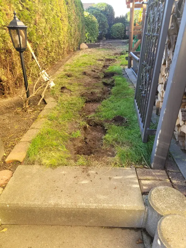 Seitlicher Gartenweg in Essen-Kettwig vorher: lückiger, aufgewühlter Rasen